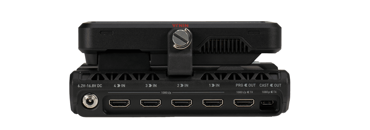 Ninja cast inputs