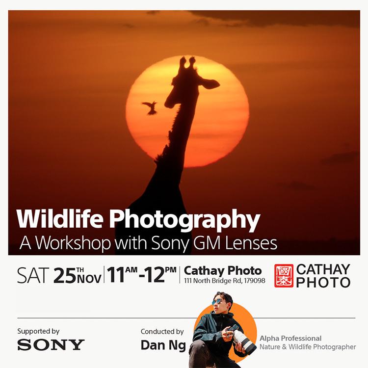 Wildlife Photography with Dan Ng