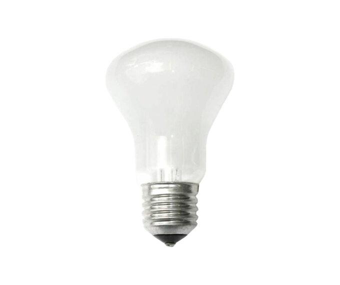 Elinchrom Model Lamp 100W/196V E27