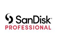 San Disk Professional Logo