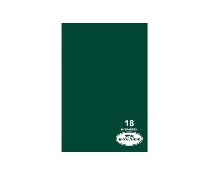 Savage Widetone Seamless Background Paper (#18 Evergreen, 107" x 12 yards)